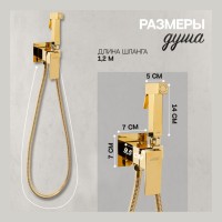 Смеситель встраиваемый с гигиеническим душем Hansberge H3077, золото глянец