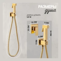 Смеситель встраиваемый с гигиеническим душем Hansberge H3070, золото глянец