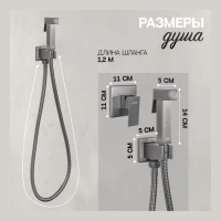 Смеситель встраиваемый с гигиеническим душем Hansberge H3070, графит