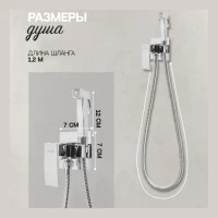 Смеситель встраиваемый с гигиеническим душем Hansberge H3077, хром