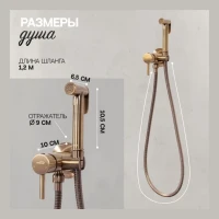 Смеситель встраиваемый с гигиеническим душем Hansberge H3099, бронза