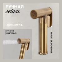 Смеситель встраиваемый с гигиеническим душем Hansberge H3099, бронза