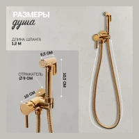 Смеситель встраиваемый с гигиеническим душем Hansberge H3099, золото глянец