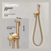 Смеситель встраиваемый с гигиеническим душем Hansberge H3099, матовое золото