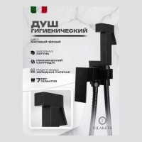 Смеситель встраиваемый с гигиеническим душем FILARETE Fing FL101, черный матовый