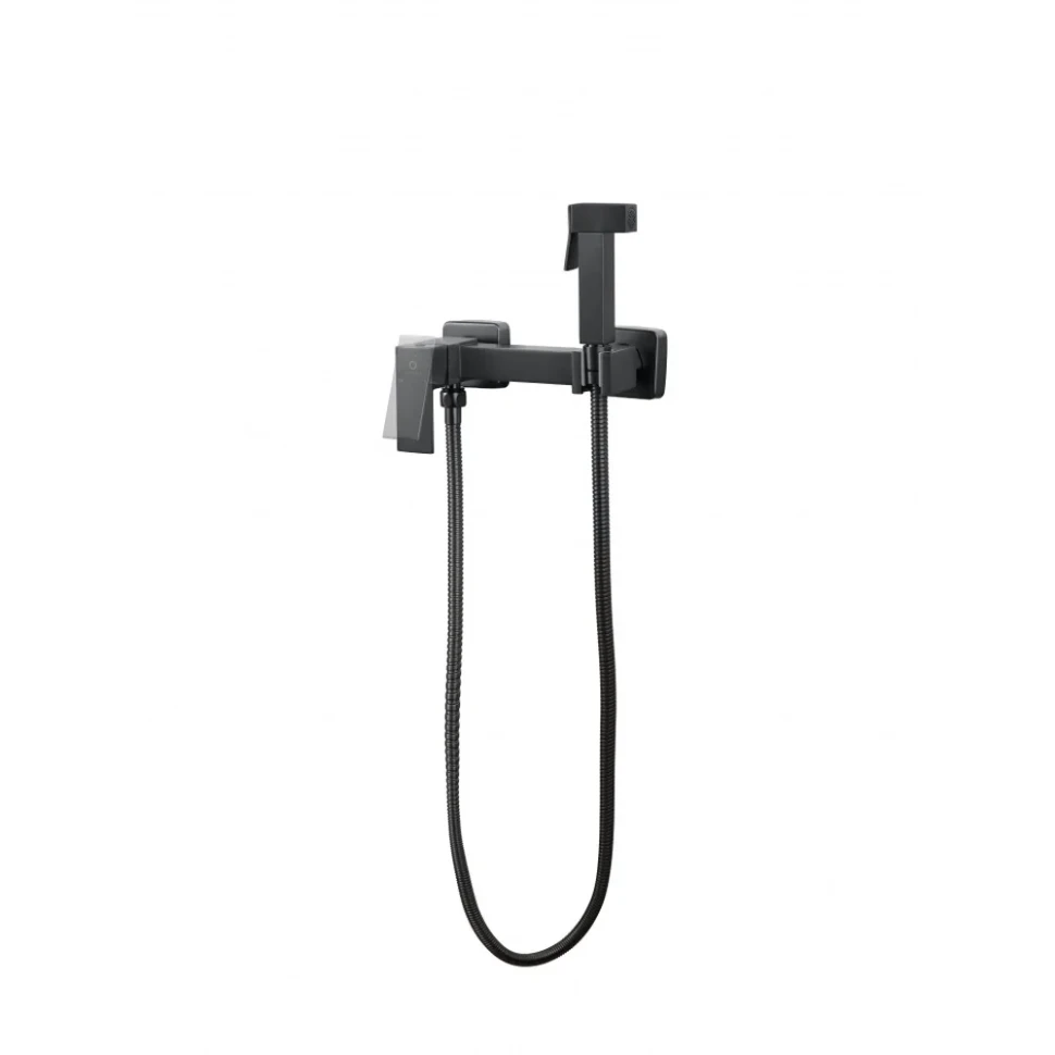 Гигиенический душ со смесителем FILARETE Финг FL111BG, графит