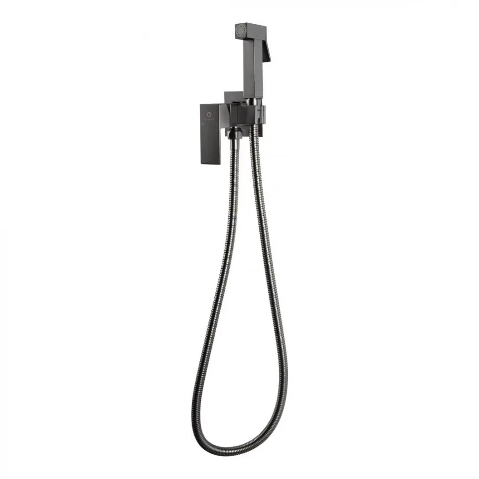 Смеситель встраиваемый с гигиеническим душем FILARETE Fing FL101, графит