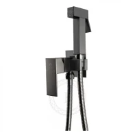 Смеситель встраиваемый с гигиеническим душем FILARETE Fing FL101, графит