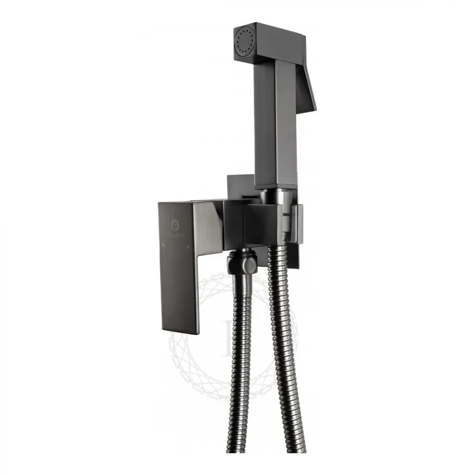 Смеситель встраиваемый с гигиеническим душем FILARETE Fing FL101, графит