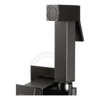 Смеситель встраиваемый с гигиеническим душем FILARETE Fing FL101, графит